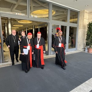 Kardinali na osmoj Općoj kongregaciji raspravljali o evangelizaciji i poslanju